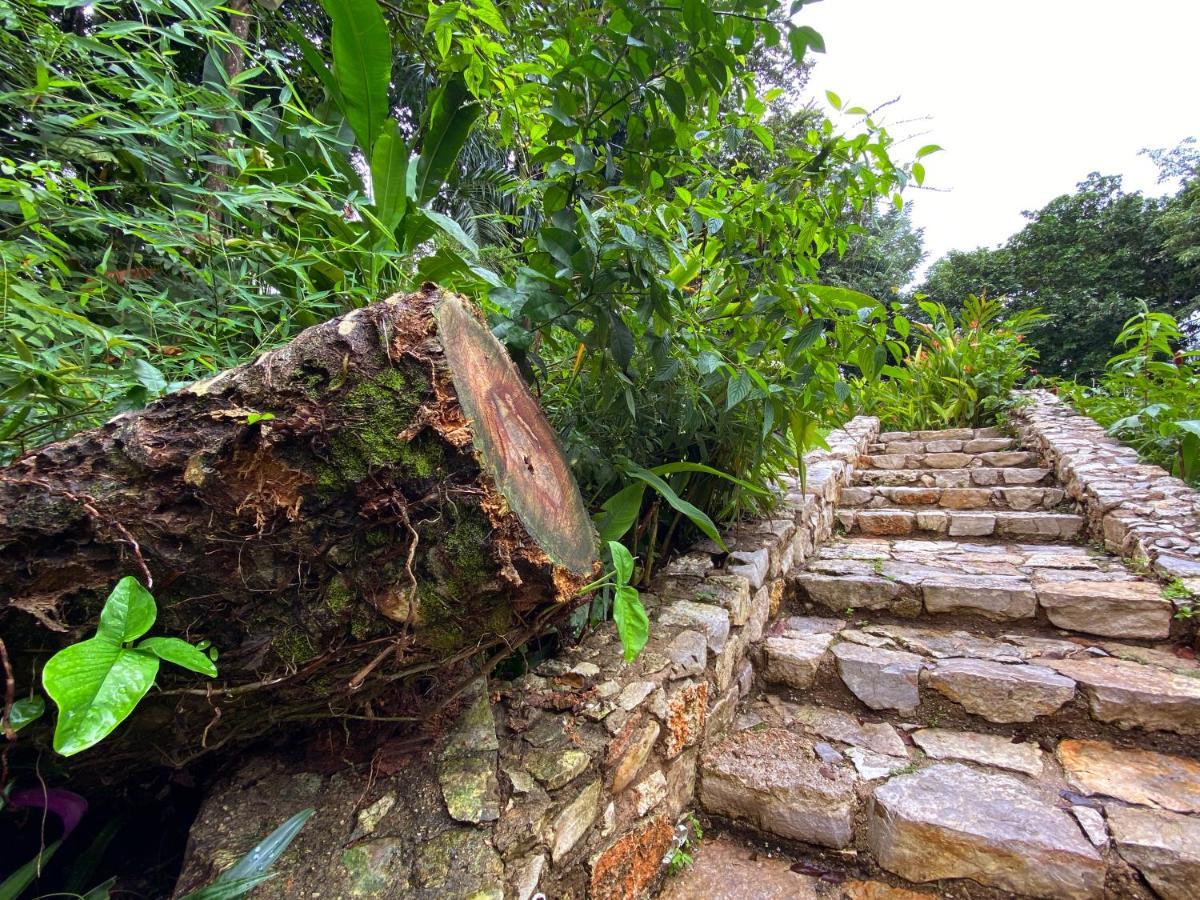 Hotel La Aldea Del Halach Huinic Palenque Bagian luar foto