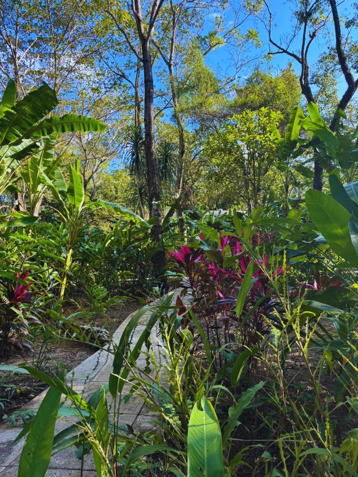 Hotel La Aldea Del Halach Huinic Palenque Bagian luar foto