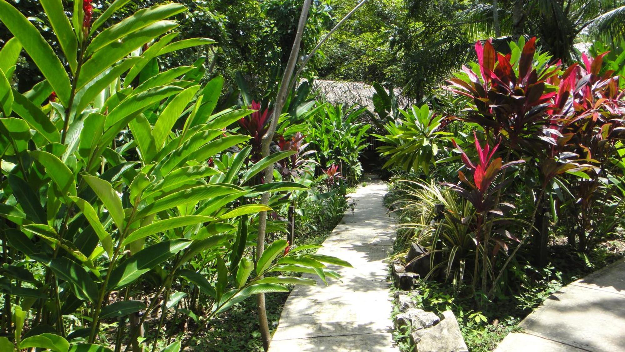 Hotel La Aldea Del Halach Huinic Palenque Bagian luar foto